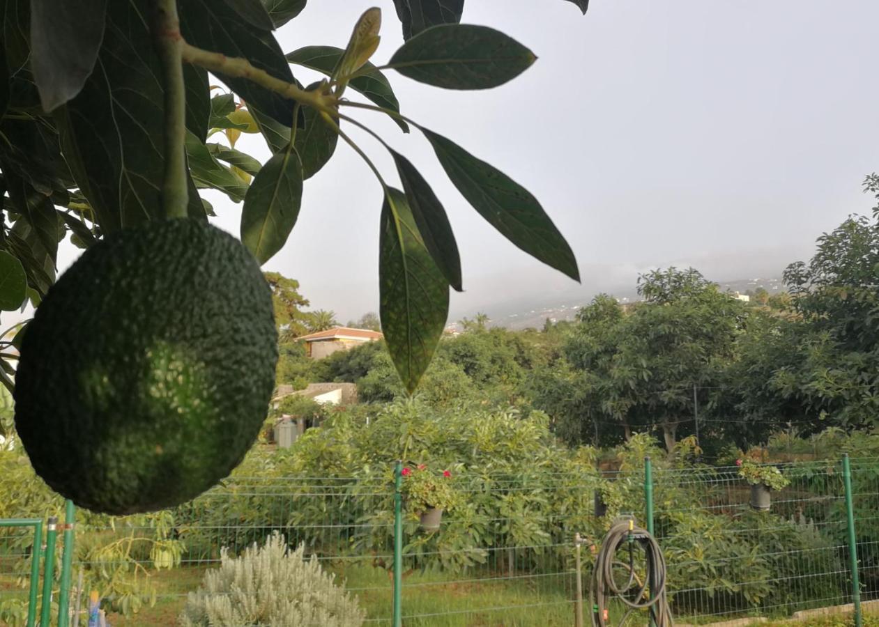 Lugares Comunes Konuk evi Los Realejos Dış mekan fotoğraf