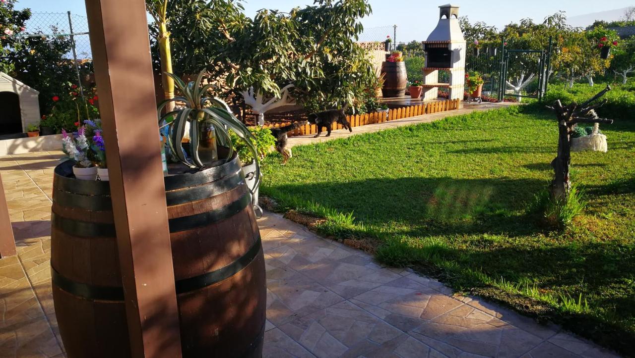 Lugares Comunes Konuk evi Los Realejos Dış mekan fotoğraf
